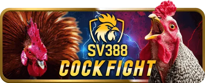 Vòng quay miễn phí tại we88 casino